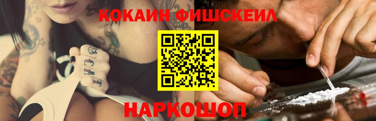 COCAIN Fish Scale  купить закладку  Сокол  Cocaine  КОКАИН Боливия  Вход с VPN 