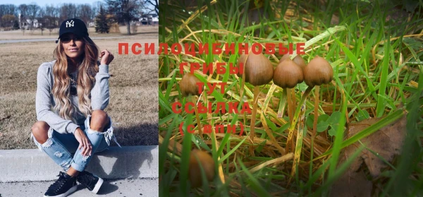 кокс Майский